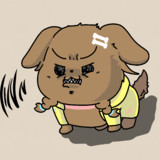 アスレチックでイラつくイッヌ