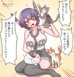 天龍ちゃんと猫