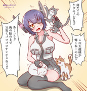 天龍ちゃんと猫