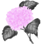 【素材】紫陽花・桃色・墨彩画風【フリー素材処くらげや】