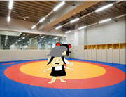 誹謗中傷！ヘイト☆レスリング