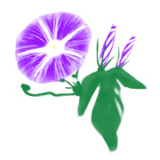 【素材】朝顔・濃紫色・透過素材【フリー素材処くらげや】