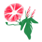 【素材】朝顔・赤色・透過素材【フリー素材処くらげや】