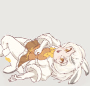 えぞゆき