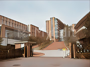 東北医科薬科大学