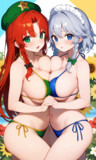 咲夜さんと美鈴さん
