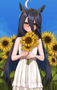 ひまわり