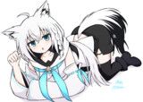 フブちゃん