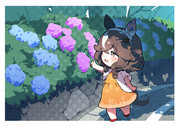 梅雨の花束