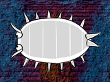 Platyarthrus Hoffmannseggii