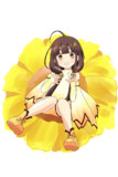 ヘレニウム_20240819