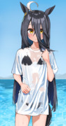 ウェット