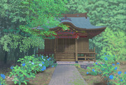 印西里山 松虫姫神社と紫陽花