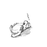 ドン引きするクサガメ