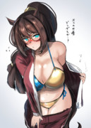 エルコンドルパサー　水着