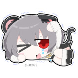 NYN姉貴