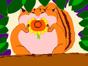 ひまわりの種が好きすぎて