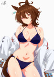こんなのがいいのかい？