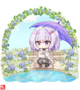 雨上がりの日に