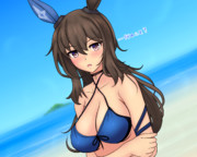 T（ふわふわ…） ｱﾔﾍﾞ「…何を言ってるの？ただの水着なのだからふわふわはついてないわよ？」