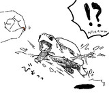 届かない間合いでクチを開けながらジャンプするクサガメ