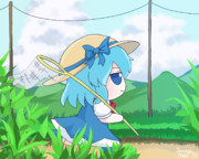 Summer of Fumo(ᗜˬᗜ)