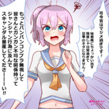 青葉の司令官への訴え