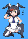 見下ろしツバメちゃん