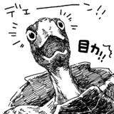 スペングラーヤマガメ