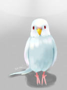 ゆきみ