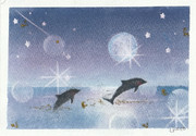 【星降る海】