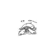 イヤイヤ期のクサガメ