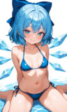 チルノさん