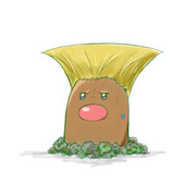ﾃﾞｨｸﾞﾀﾞ