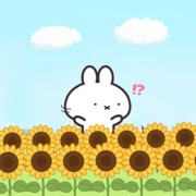 ぴーよくんどこ行ったの