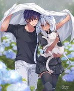 猫を保護した提督と武蔵しゃん