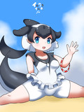 イロワケイルカ開脚！