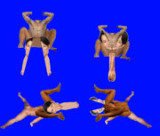 リュウセイカブトムシ＆イクワガタムシbb素材