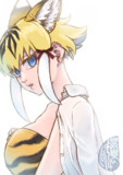 夏毛フレンズ