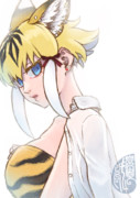 夏毛フレンズ