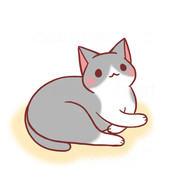 クロス
