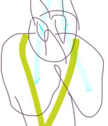 オリジナル