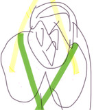 オリジナル