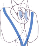 オリジナル
