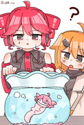 ウーパールーパーテト