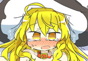 きんかわ