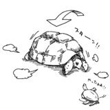 リクガメとクサガメ