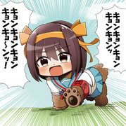 ハルヒ犬