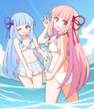 夏の琴葉姉妹