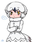 シロフクロウちゃん